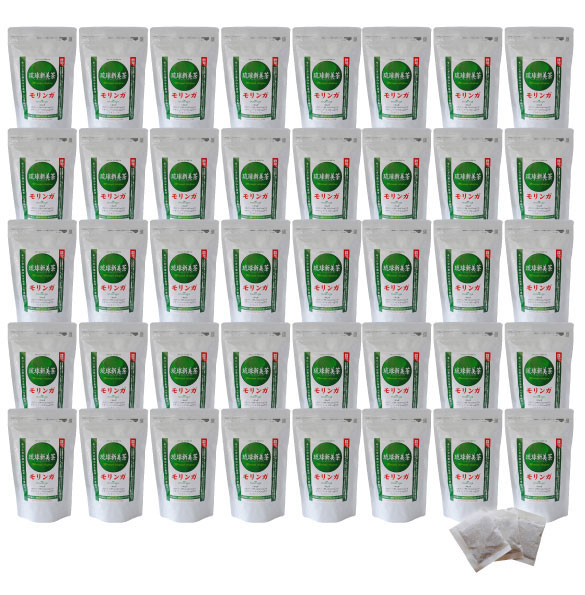 モリンガ茶40袋セット